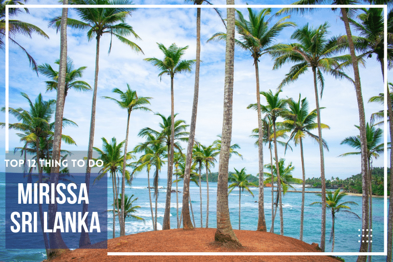 Things-To-Do-In-Mirissa-12-Best-Things-Top-Places-To-Visit-In-Mirissa-Mirissa-Beach-Sri-Lanka-2022-2023-2024