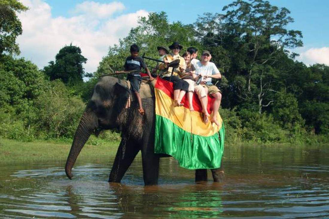 African-Elephants-Asian-Elephants-Elephants-And-Human-Conflicts-In-Sri-Lanka-Elephant-Slavery-Cruelty-Sri-Lankan-Elephant-Population-Sri-Lankan-20Elepahant-See-Ceylon-Tours