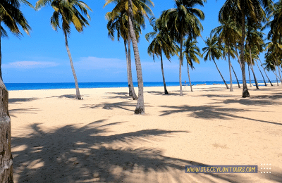 Pasikuda-Beach-Sri-Lanka-Attractions-Sri-Lanka-Tours-Travels-Tour-Holiday-Packages-6-Holiday-in-Sri-Lanka-2022-2023-2024