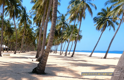 Pasikuda-Beach-Sri-Lanka-Attractions-Sri-Lanka-Tours-Travels-Tour-Holiday-Packages-7-Holiday-in-Sri-Lanka-2022-2023-2024