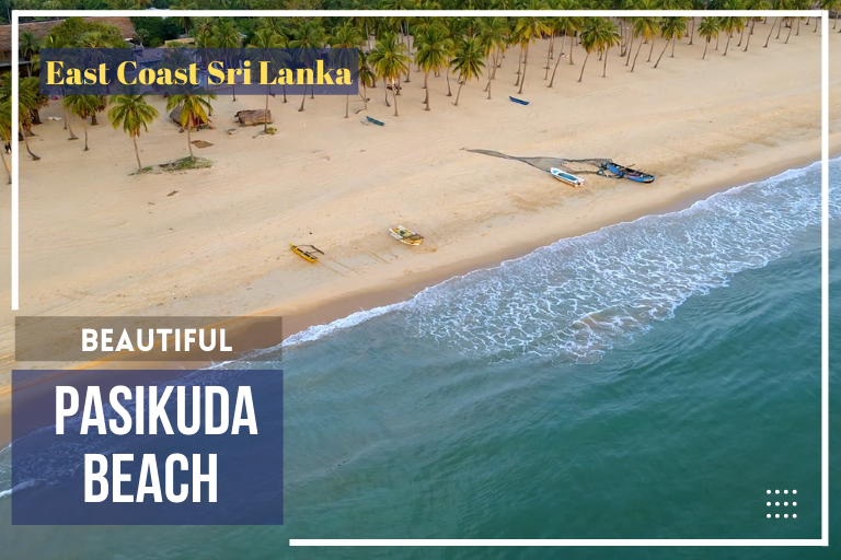 Pasikuda-Beach-Sri-Lanka-Attractions-Sri-Lanka-Tours-Travels-Tour-Holiday-Packages-Holiday-in-Sri-Lanka-2022-2023-2024