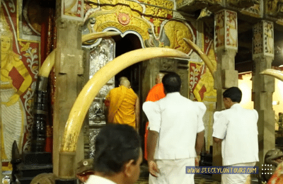 Temple-Of-The-Tooth-Relic-Sri-Lanka-History-Folklore-Temple-Of-The-Tooth-Relic-Ceremony-Daily-Activities-See-Ceylon-Tours-9-Travel-Holiday-visit-Lanka-2022-2023-2024