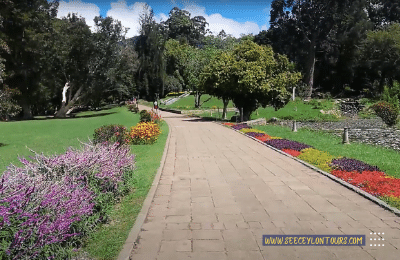 The-Victoria-Park-Nuwara-Eliya-1-Things-To-Do-In-Nuwara-Eliya-17-Amazing-Things-To-Do-See-Ceylon-Tours-1-Sri-Lanka-Tours-Travels-Tour-Packages-Holiday-visit-Lanka-2022-2023-2024