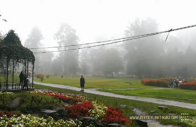 The-Victoria-Park-Nuwara-Eliya-Things-To-Do-In-Nuwara-Eliya-17-Amazing-Things-To-Do-See-Ceylon-Tours-1-Sri-Lanka-Tours-Travels-Tour-Packages-Holiday-visit-Lanka-2022-2023-2024