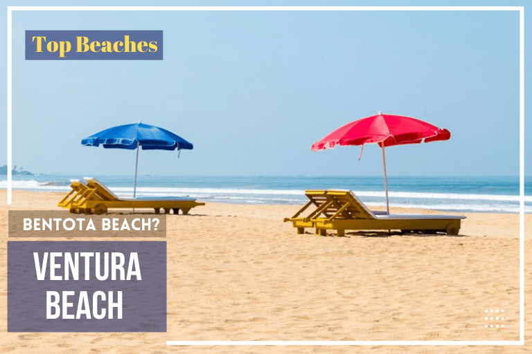 Ventura-Beach-Sri-Lanka-or-Bentota-Beach-Water-Sports-Hotels-around-Places-to-see-Near-Best-time-to-come-How-To-reach