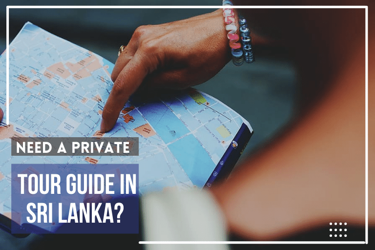 Private-Tour-Guide-Sri-Lanka-Tour-Guide-or-Just-a-Driver-Who-Is-the-Best-Plan-Private-Tour-Tours-on-Your-Budget-Sri-Lanka-Holiday-Packages-Sri-Lanka-2022-2023-2024