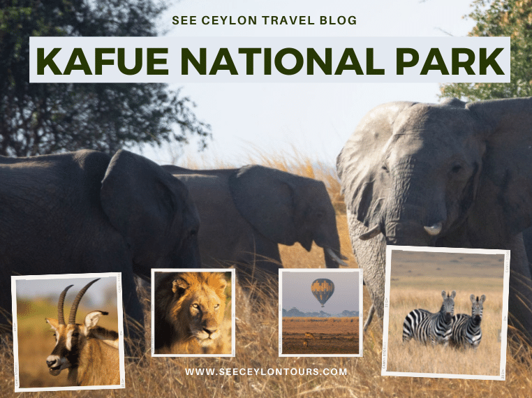 Kafue-National-Park-Kafue-National-Park-Lodges-Kafue-National-Park-Zambia