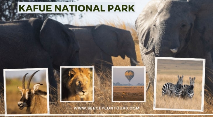 Kafue-National-Park-Kafue-National-Park-Lodges-Kafue-National-Park-Zambia