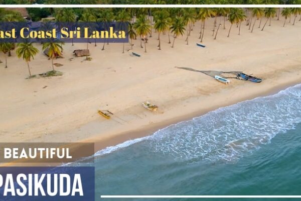 Pasikuda-Beach-Sri-Lanka-Attractions-Sri-Lanka-Tours-Travels-Tour-Holiday-Packages-Holiday-in-Sri-Lanka-2023-2024-2025