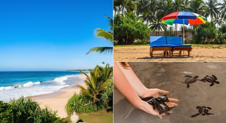 Ventura-Beach-Sri-Lanka-Bentota-Beach-2023-2024